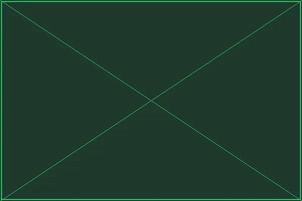 奇幻试炼演练场全景 - 赏金女王pg